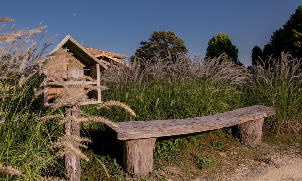La Petite Couronne, Ecolodge & Lofts Saint-Cricq-Chalosse Exterior foto